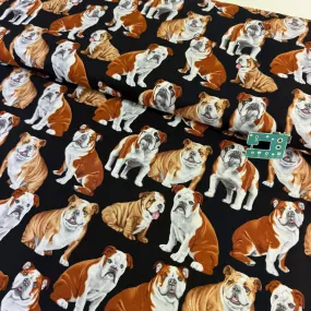 Bulldogs Black