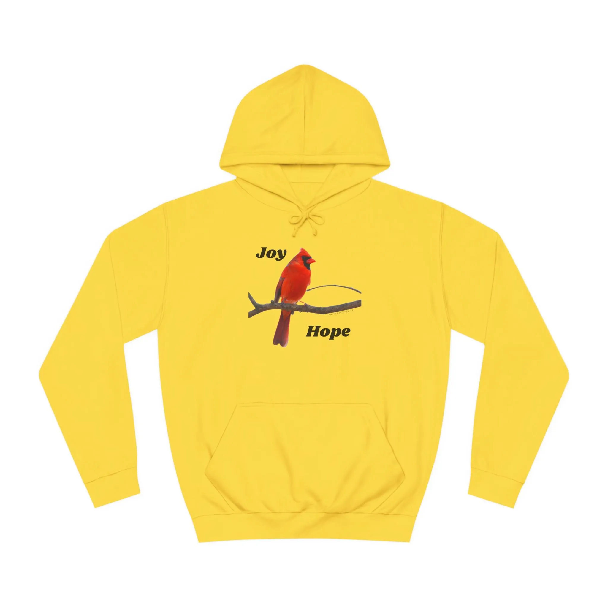 Cardinal - Joy and Hope - Unisex College Hoodie
