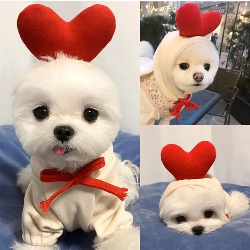Fruit Hoodies for Dogs