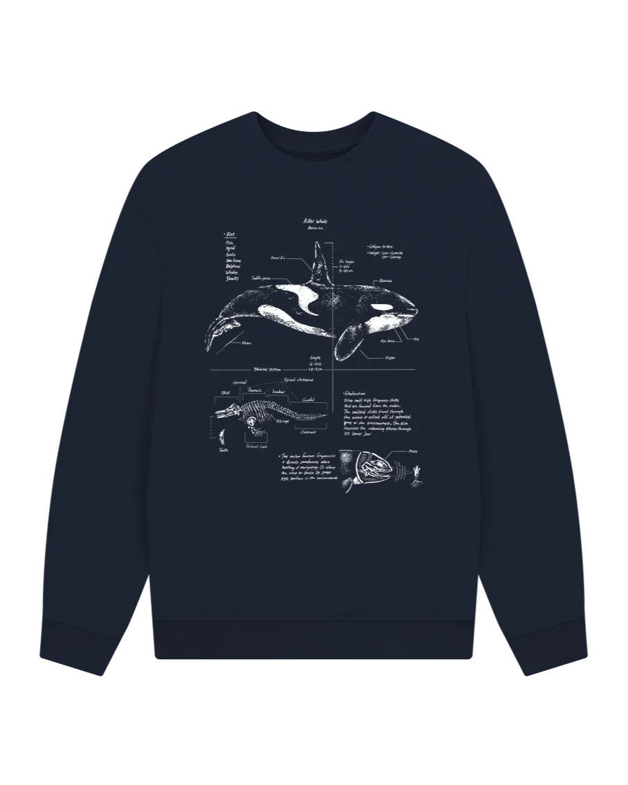 Orca Anatomy Oversized Sweatshirt
