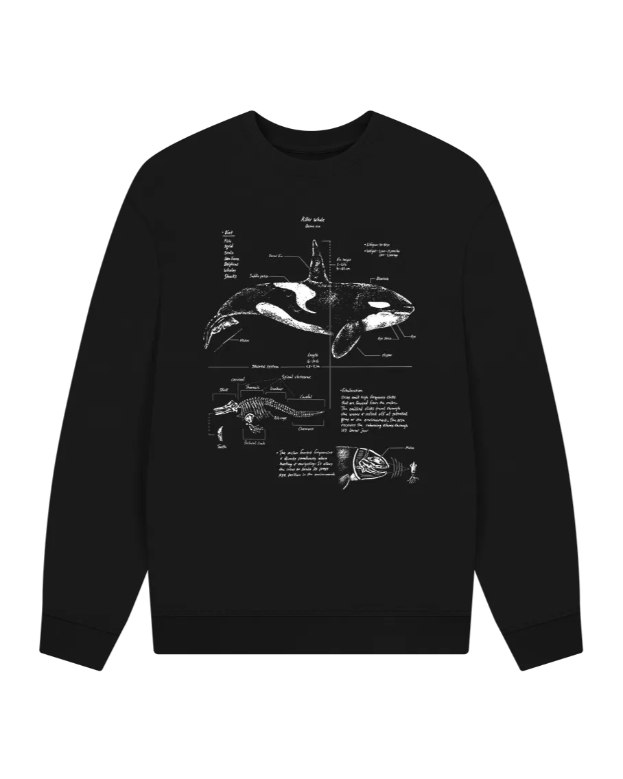 Orca Anatomy Oversized Sweatshirt